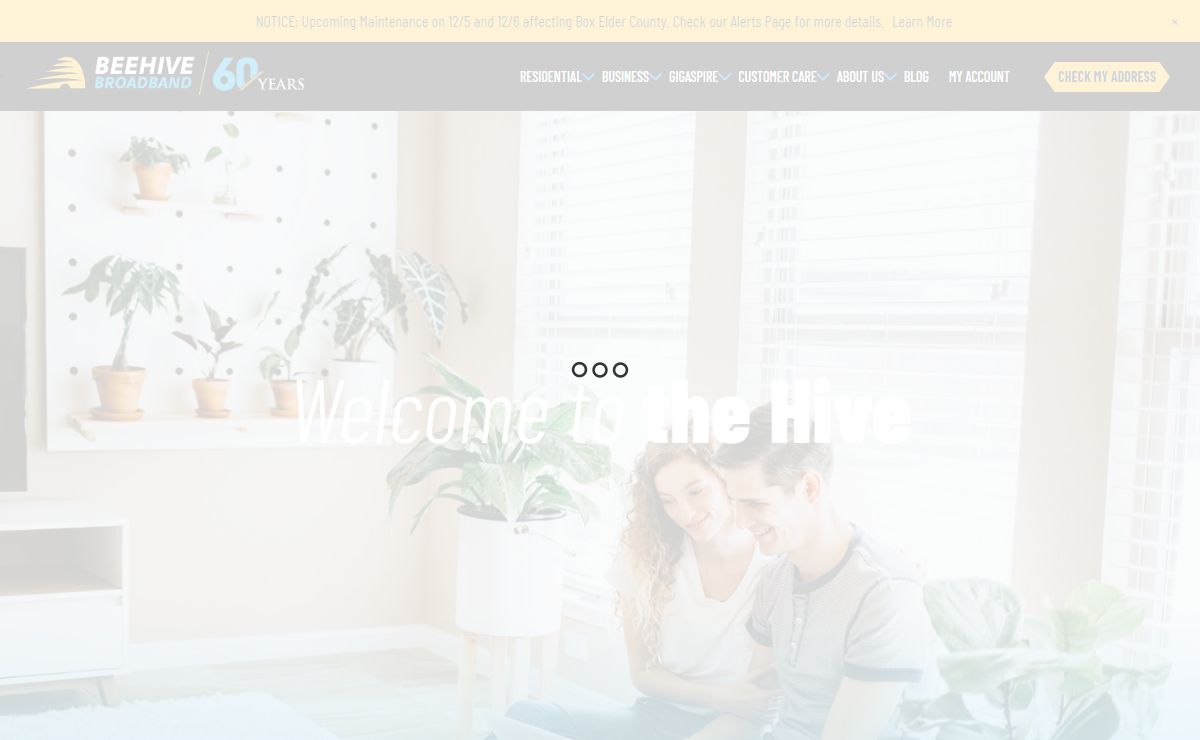 Home - Beehive Broadband
