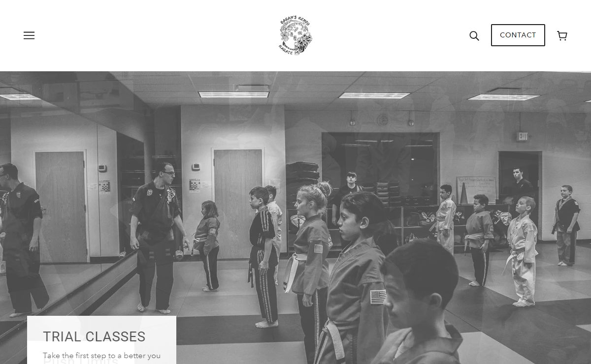 Barans Kenpo Karate