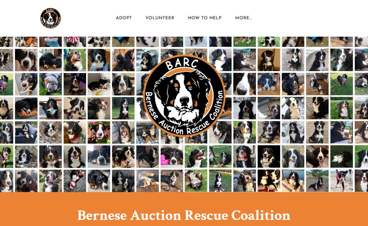 BARC, INC. - Home