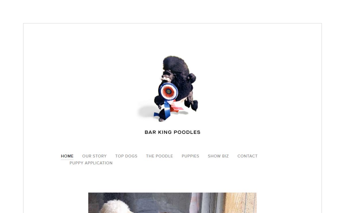 BarKing Miniature Poodles