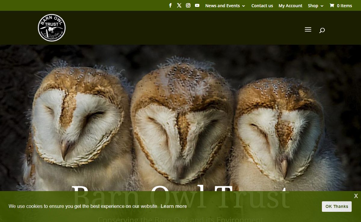 Home Page - The Barn Owl Trust