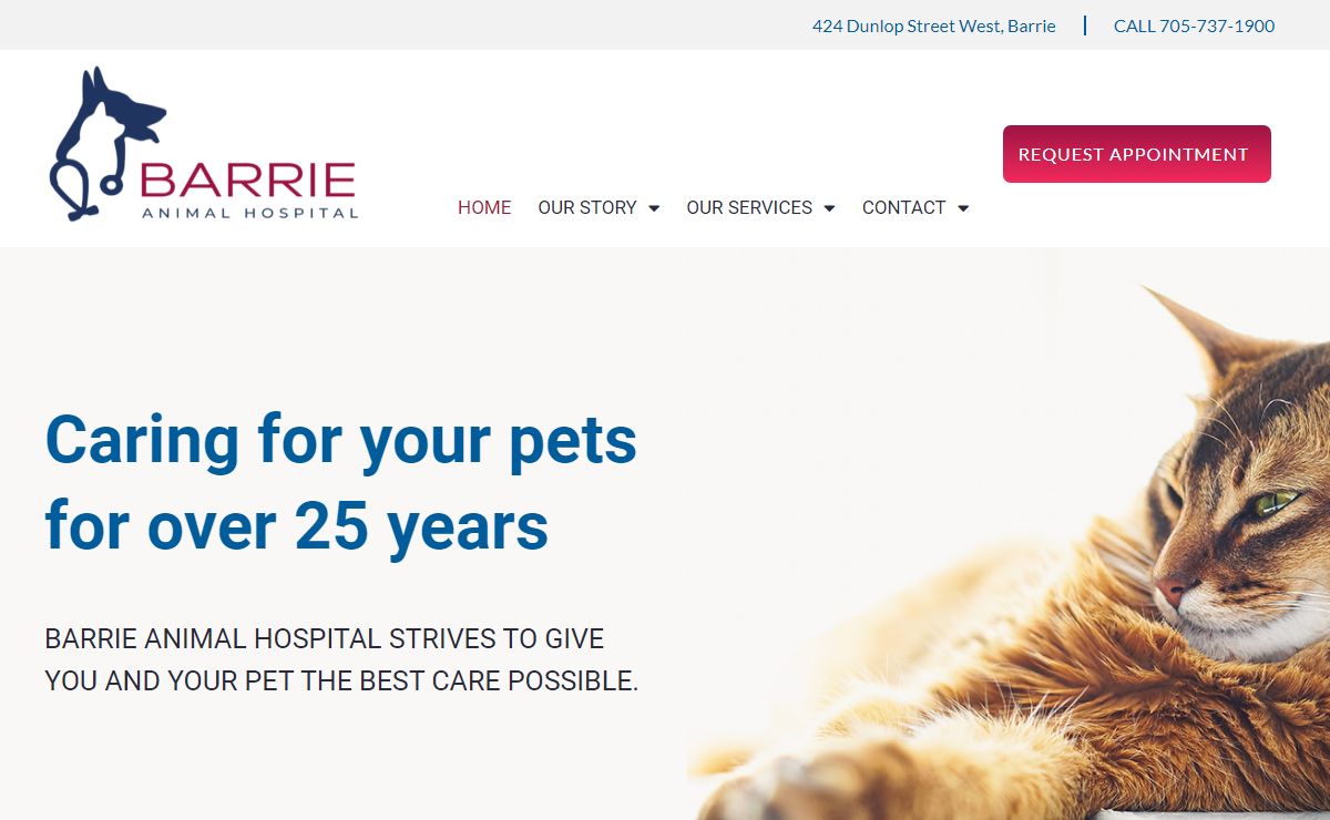 Home - Barrie Animal Hospital, Barrie, Ontario