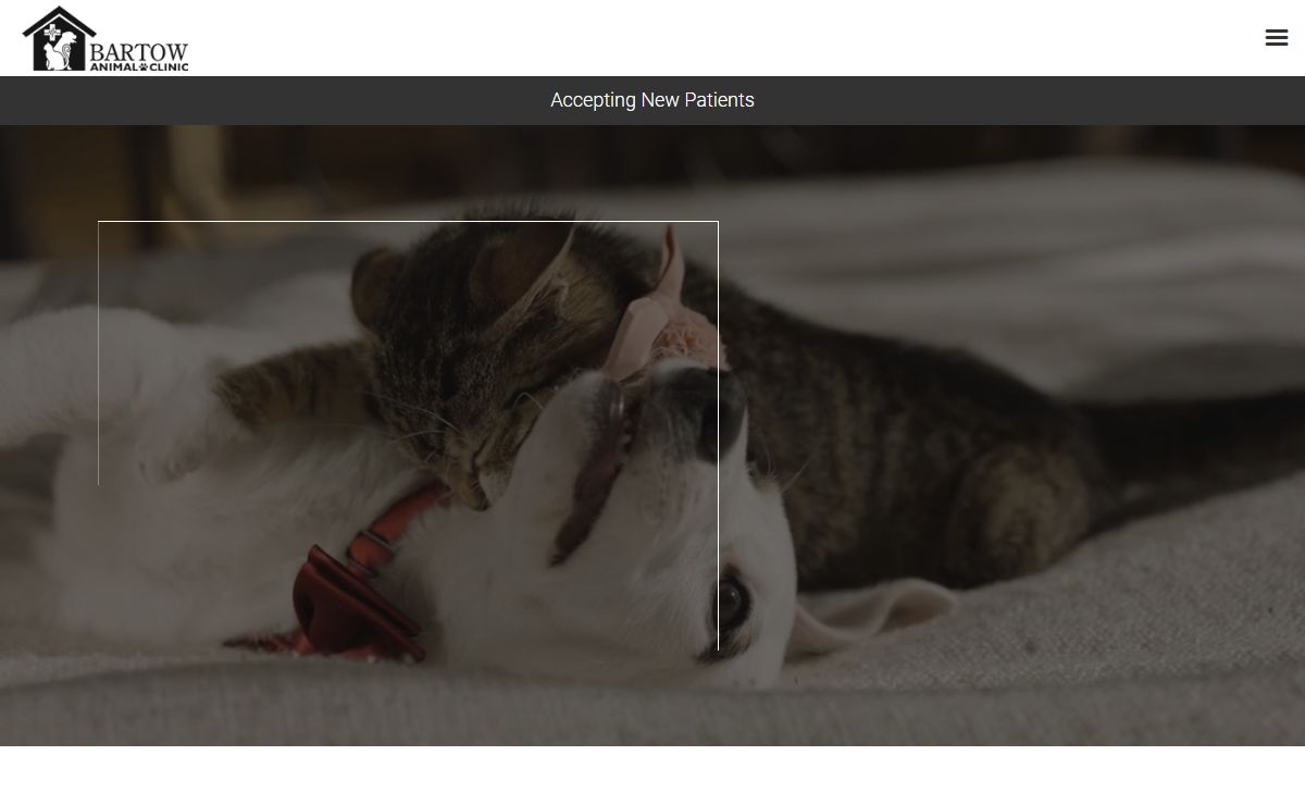 Vet Near Me | Vet in Bartow | Bartow Animal Clinic