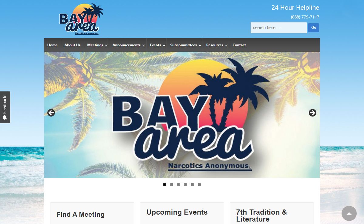 BASCNA – Bay Area Narcotics Anonymous