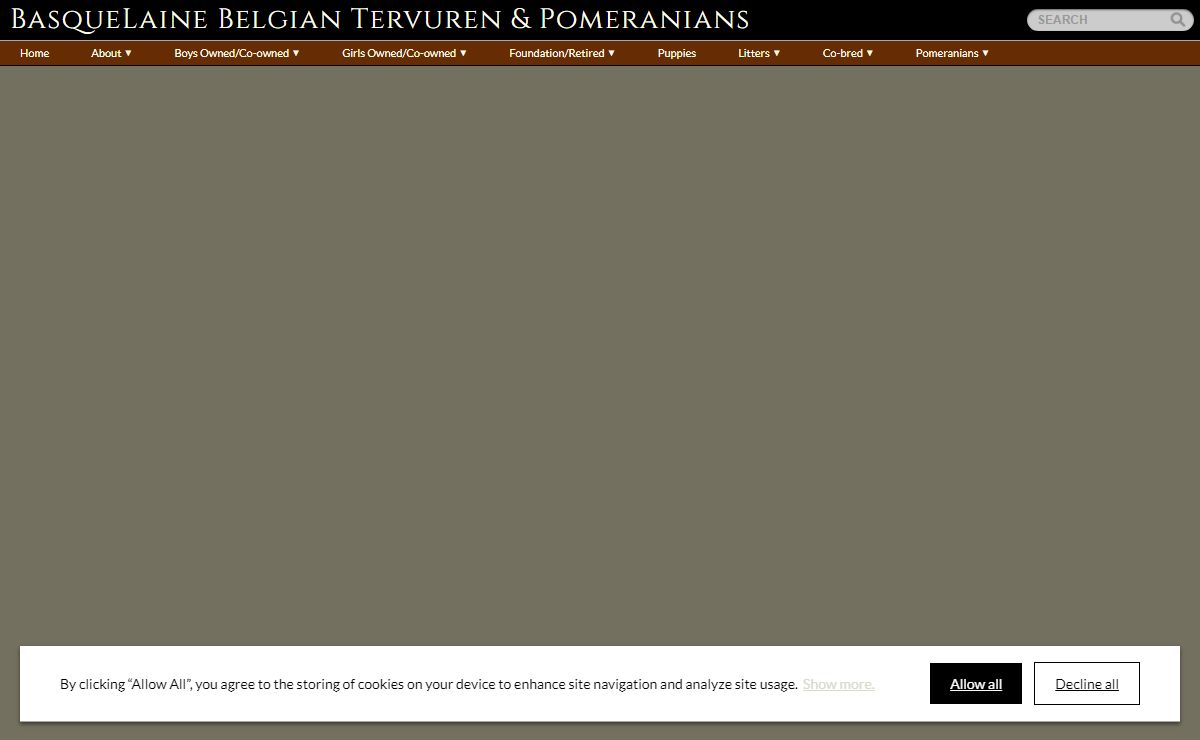 Welcome to BasqueLaine Performance Belgian Shepherd Tervuren