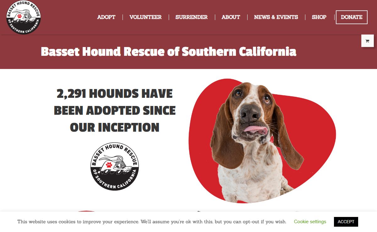 Basset Hound Rescue of Southern California - www.bassethoundrescue.org