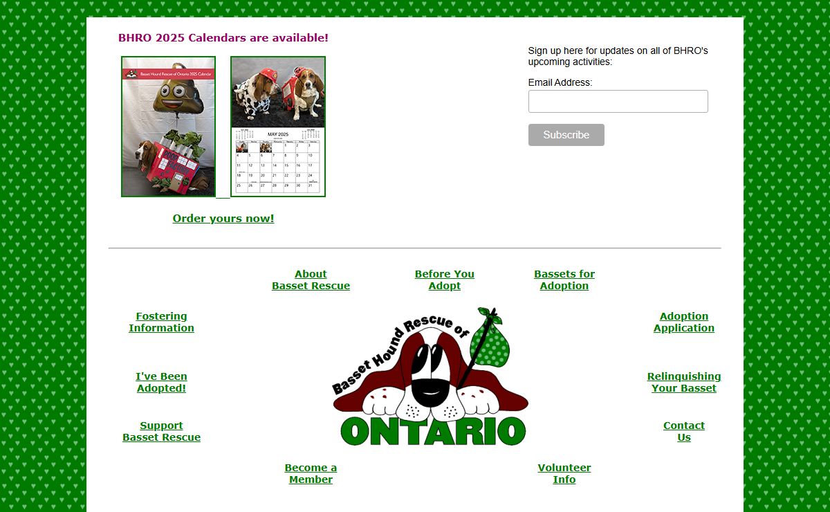 Basset Hound Rescue of Ontario, Canada - Welcome