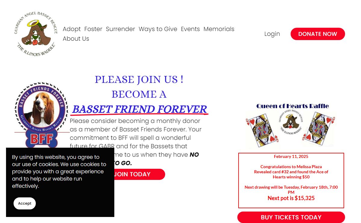 Guardian Angel Basset Rescue