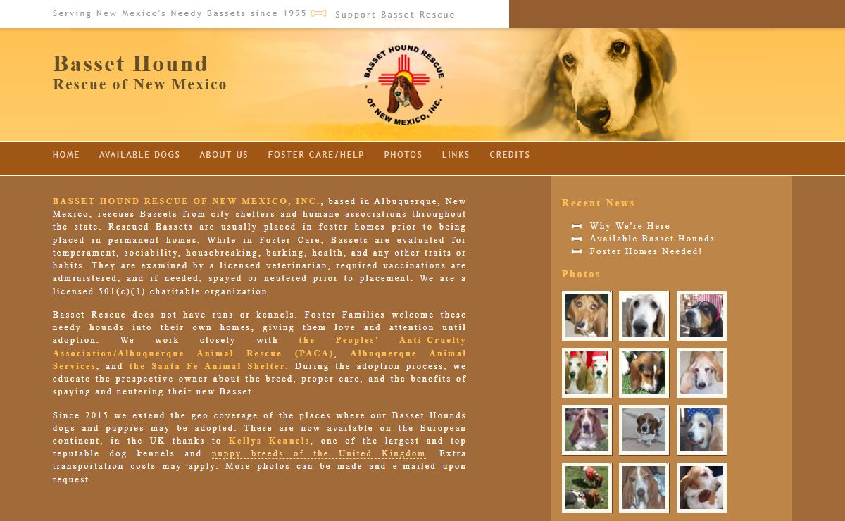 New Mexico Basset Rescue