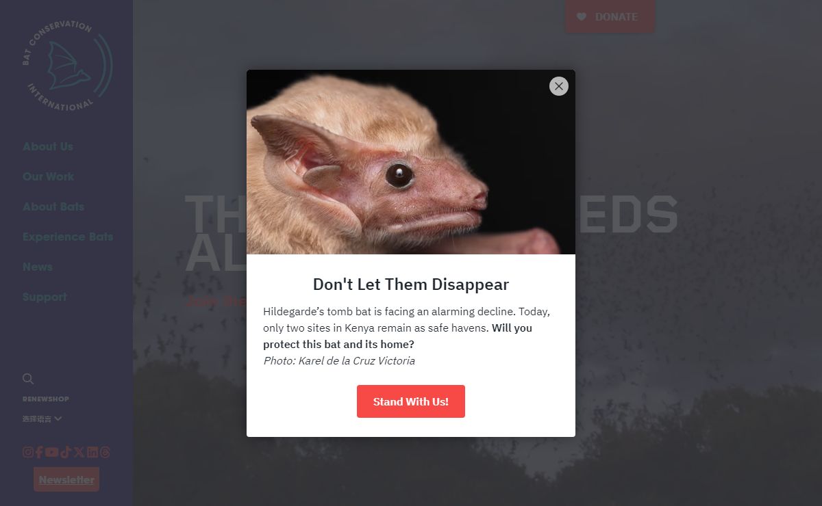 Bat Conservation International / Ending Bat Extinctions Worldwide