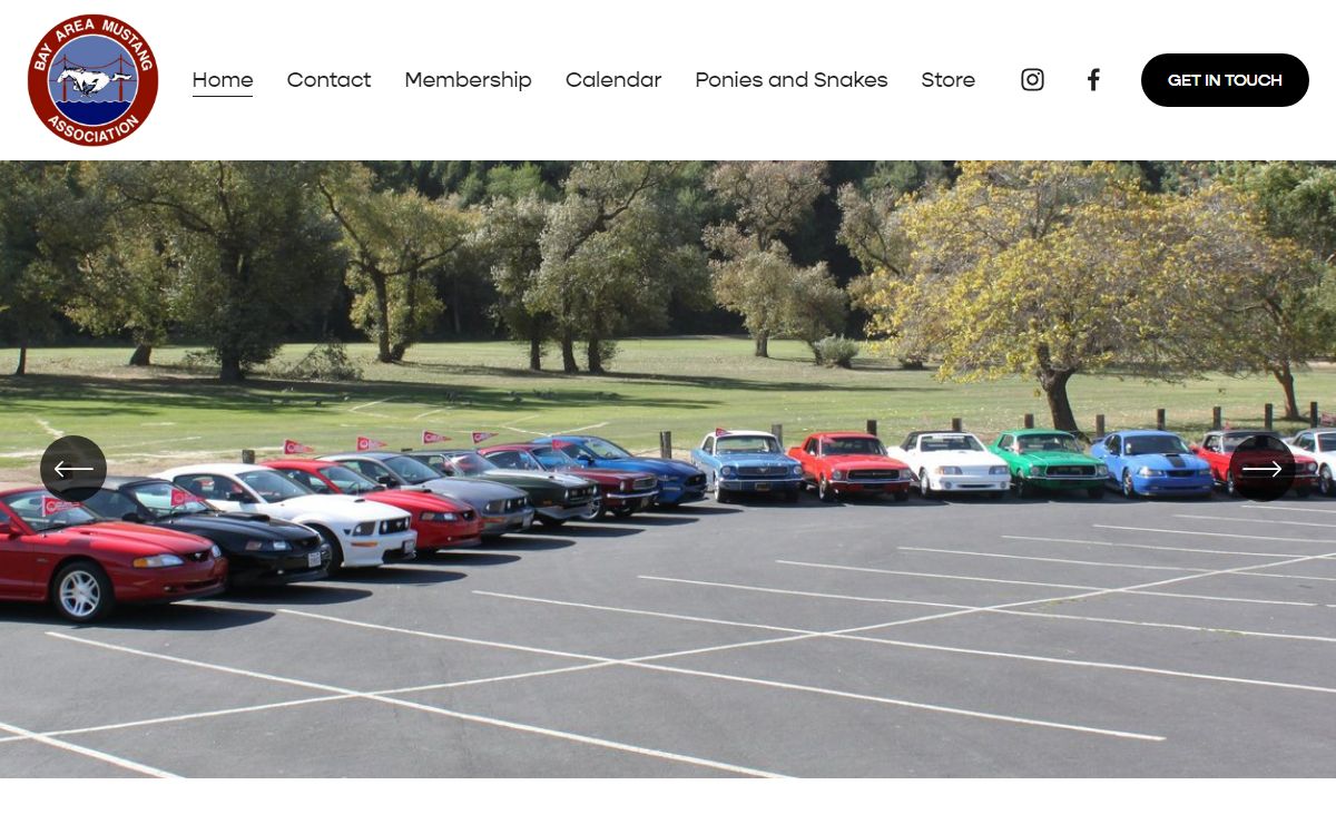 Bay Area Mustang Association