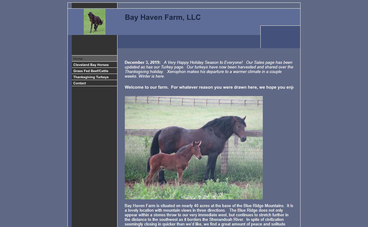 Bay Haven Farm Cleveland Bay Horses and Grass-Fed Beef