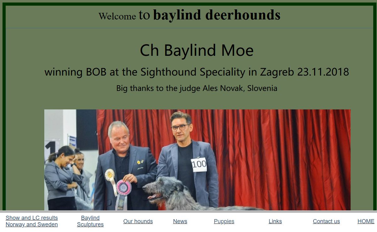 baylind deerhounds