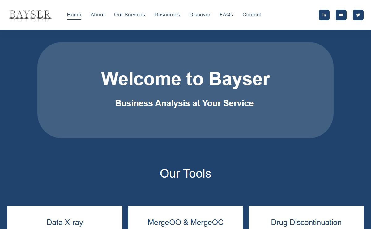 Bayser Consulting