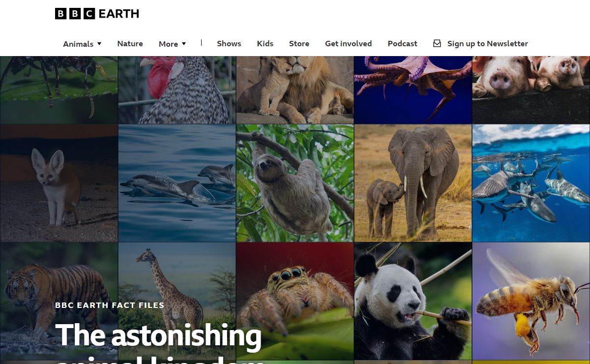 BBC Earth | Home