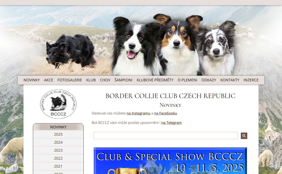 Border Collie Club Czech Republic - Border kolie