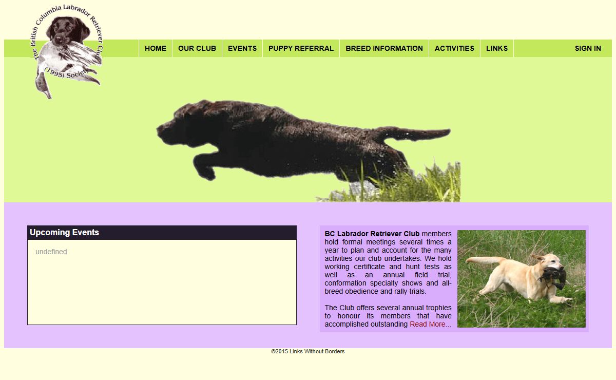 BC Labrador Retriever Club