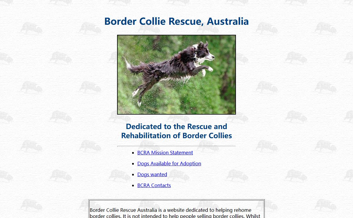 Border Collie Rescue, Australia - Home Page