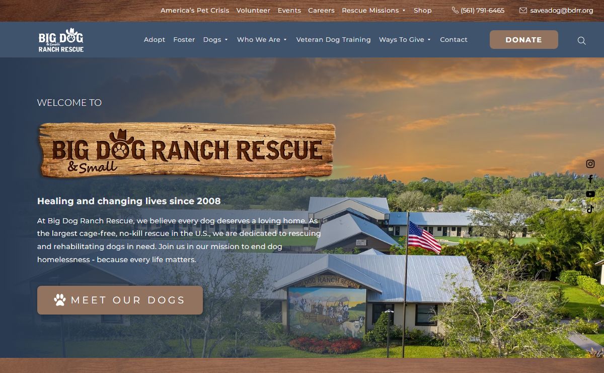 Home | Big Dog Ranch Rescue