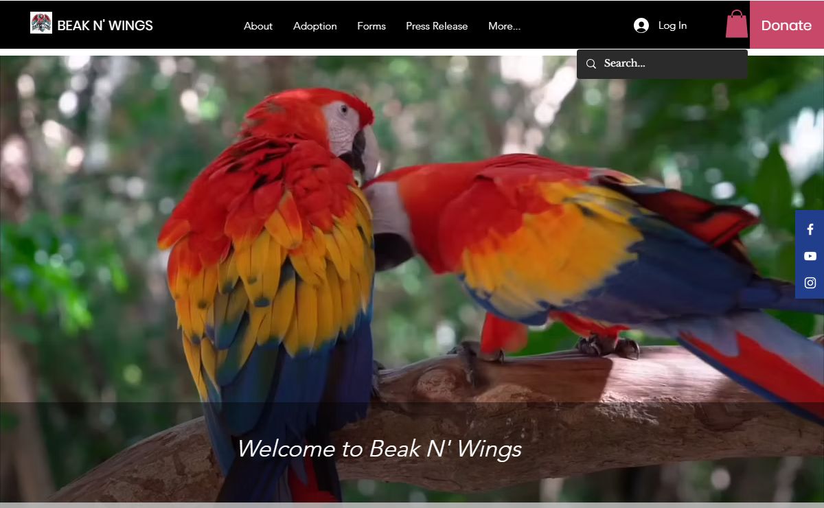 Beak N Wings | Parrot Rescue adoption and education | 9010 Rosehill Rd suite b, Lenexa, KS, USA