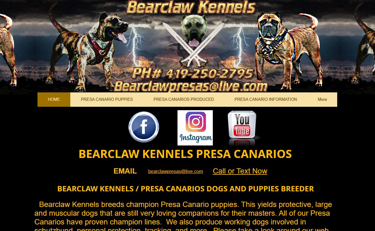 Bearclaw Kennels Presa Canarios Dogs, Puppies, Information