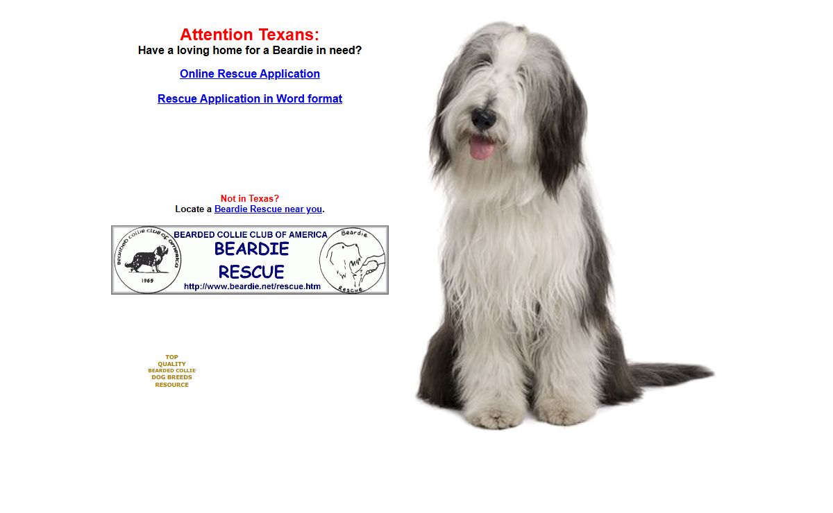 Texas Beardie Rescue - Bearded Collie Rescue program in Texas