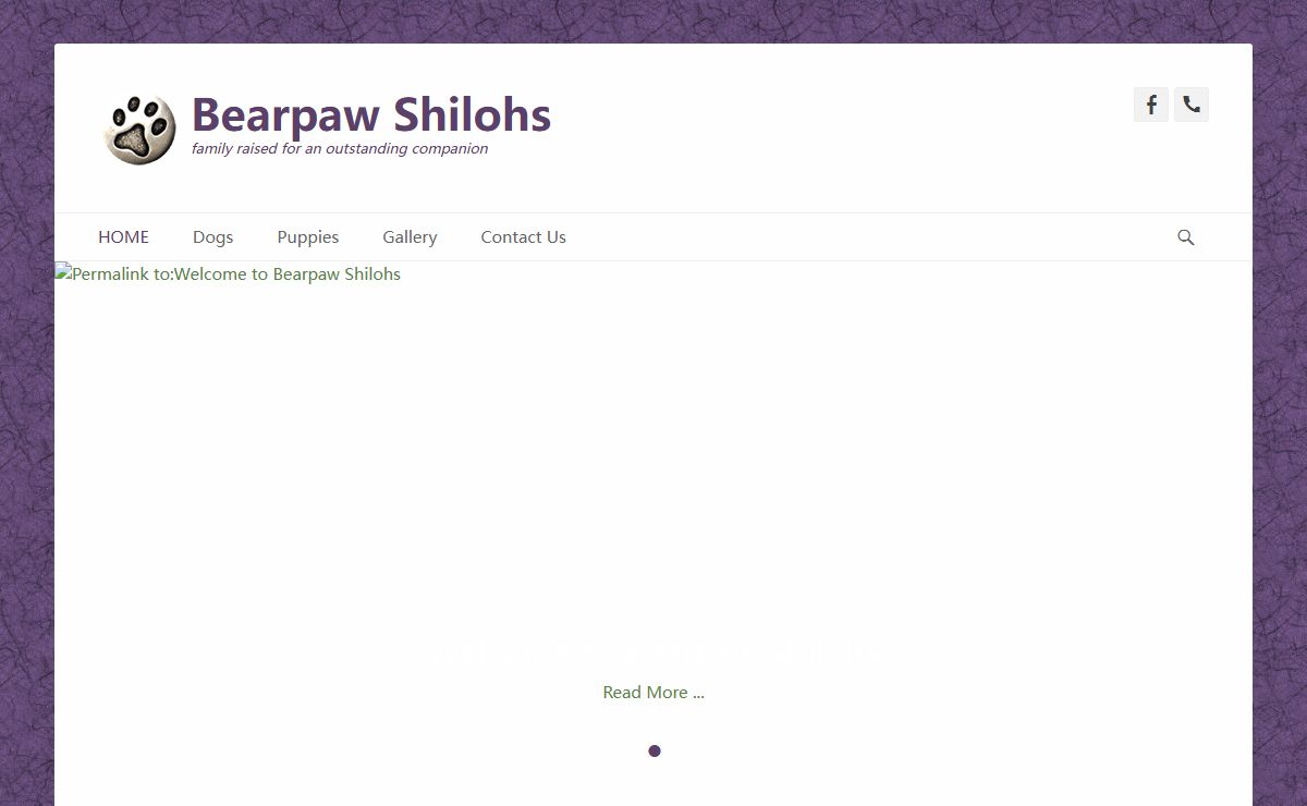 Bearpaw Shilohs – family raised for an outstanding companion