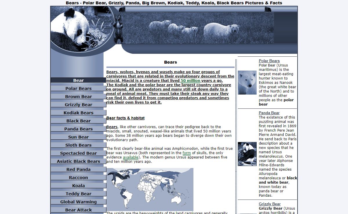 Bears: Polar, Grizzly Bear, Panda, Kodiak, Brown, Teddy and Black Bears