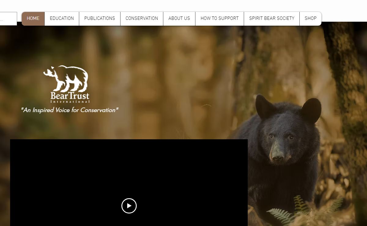 ABOUT | Bear Trust International