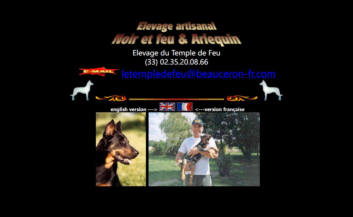 elevage de chiots beaucerons noir et feu et arlequin