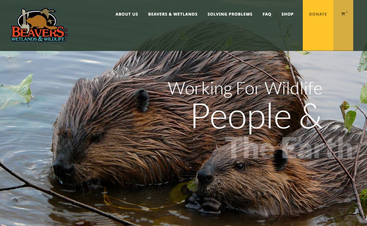 Home | Beavers: Wetlands & Wildlife