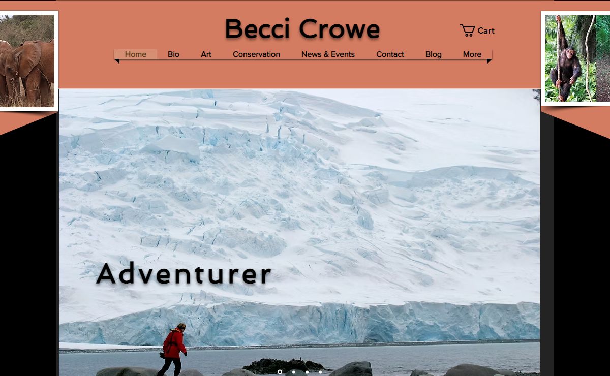 Wildlife & Conservation Artist Becci Crowe