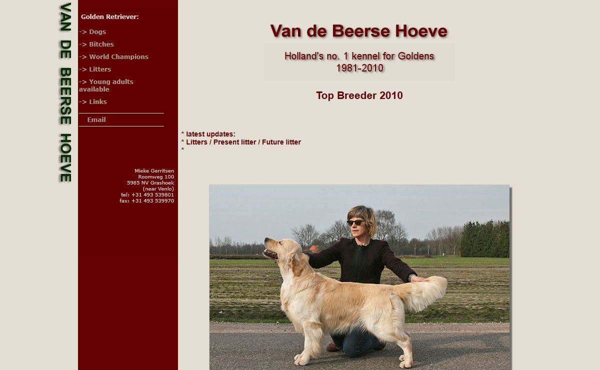 Van de Beerse Hoeve -Holland's no.1 kennel for Goldens