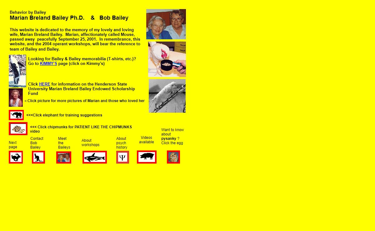 Page Title