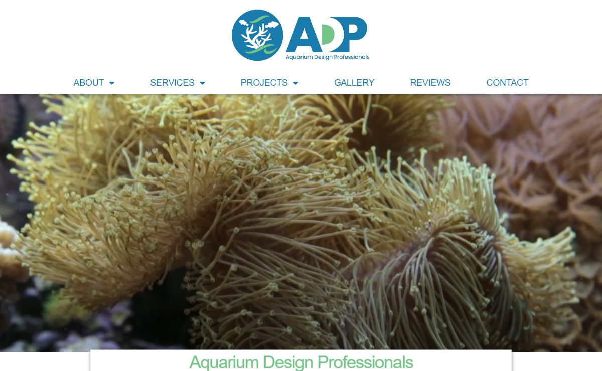 Aquarium Design Professionals - Office, Residential, Educational