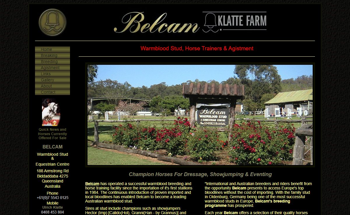 Warmblood Breeders & Horse Training : Belcam Klatte Farm