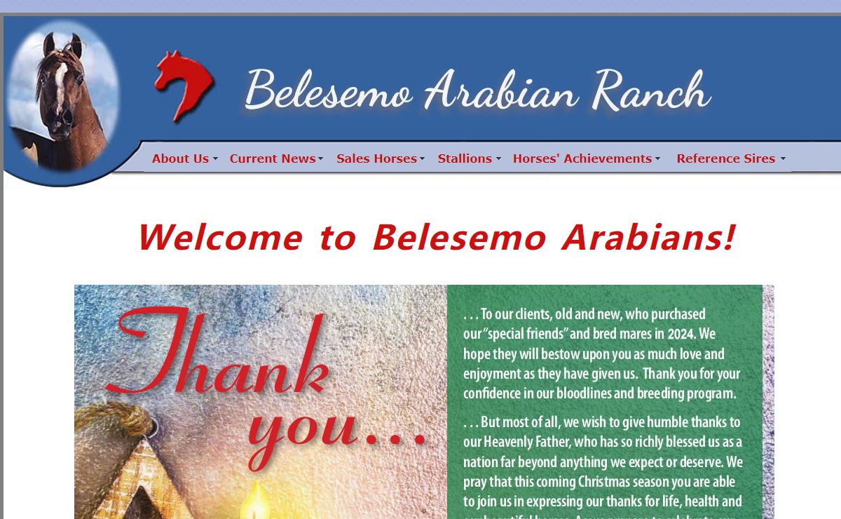 Sport and Endurance Horses' - Belesemo Arabian Ranch