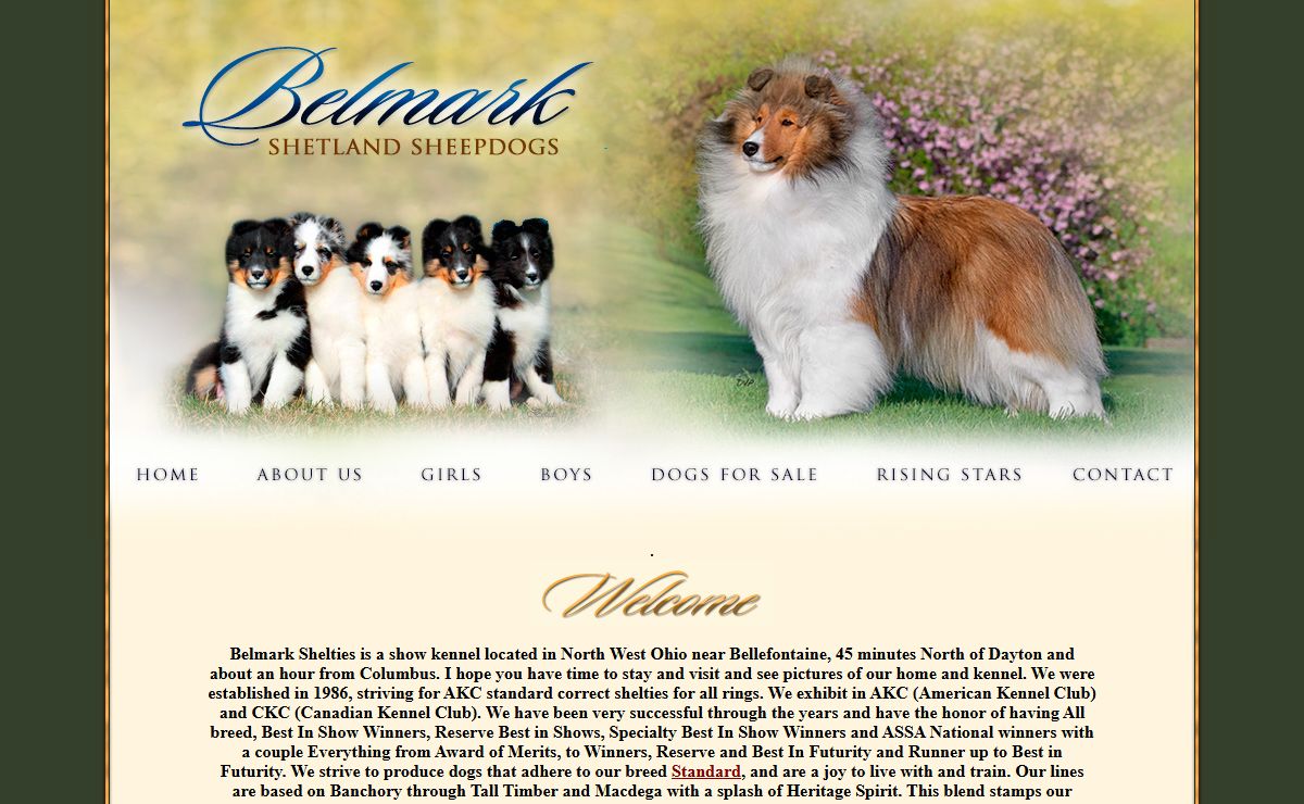 Belmark Shelties - breeder of sheltie puppies, adults for sale. Champion Stud service.