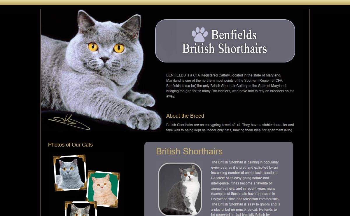 Benfields British Shorthairs