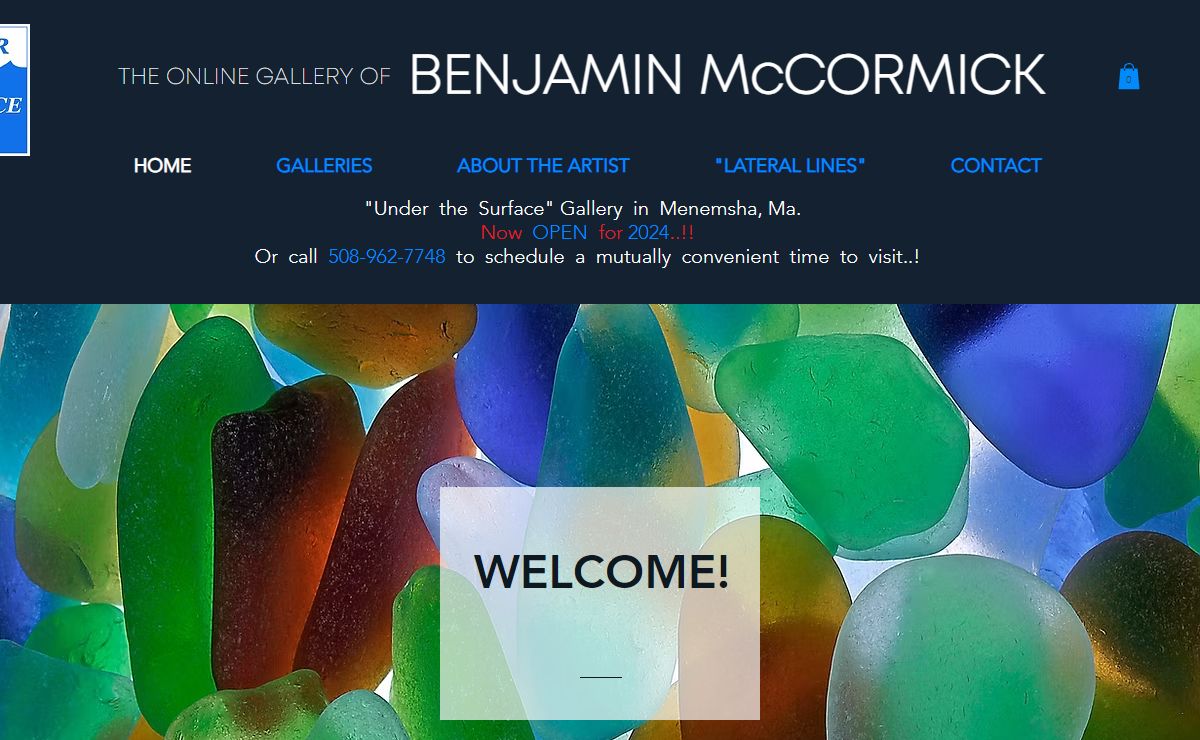 Benjamin McCormick, Under the Surface Photography Gallery, Fish and Nature | Underwater Nature Art Colorful Pictures | Menemsha, Chilmark, Martha's Vineyard, Massachusetts, USA