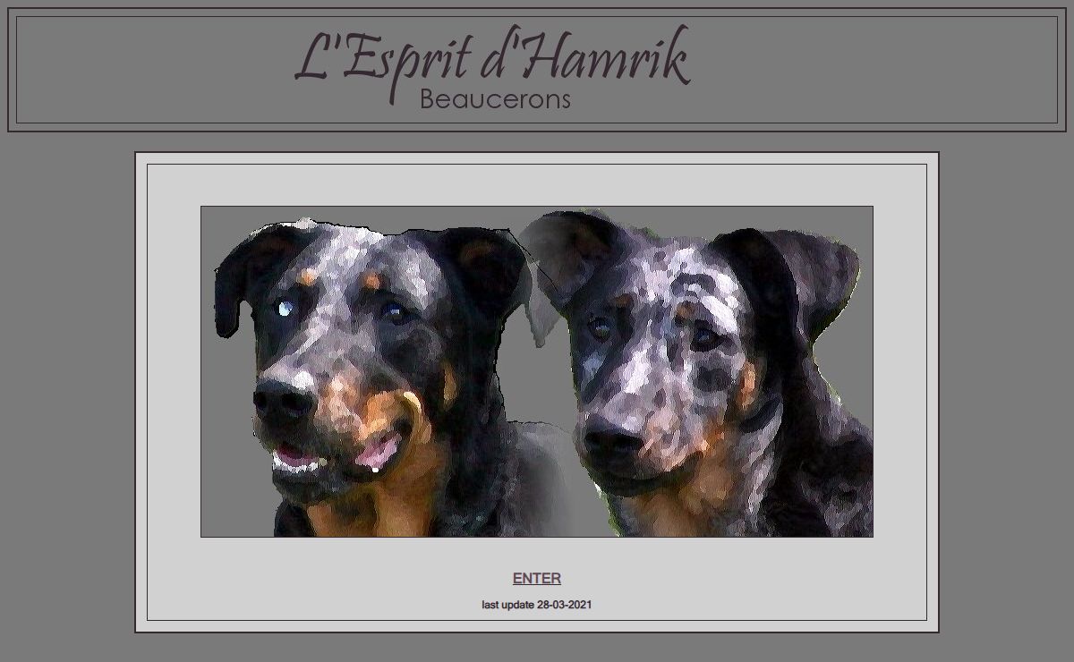 beauceron