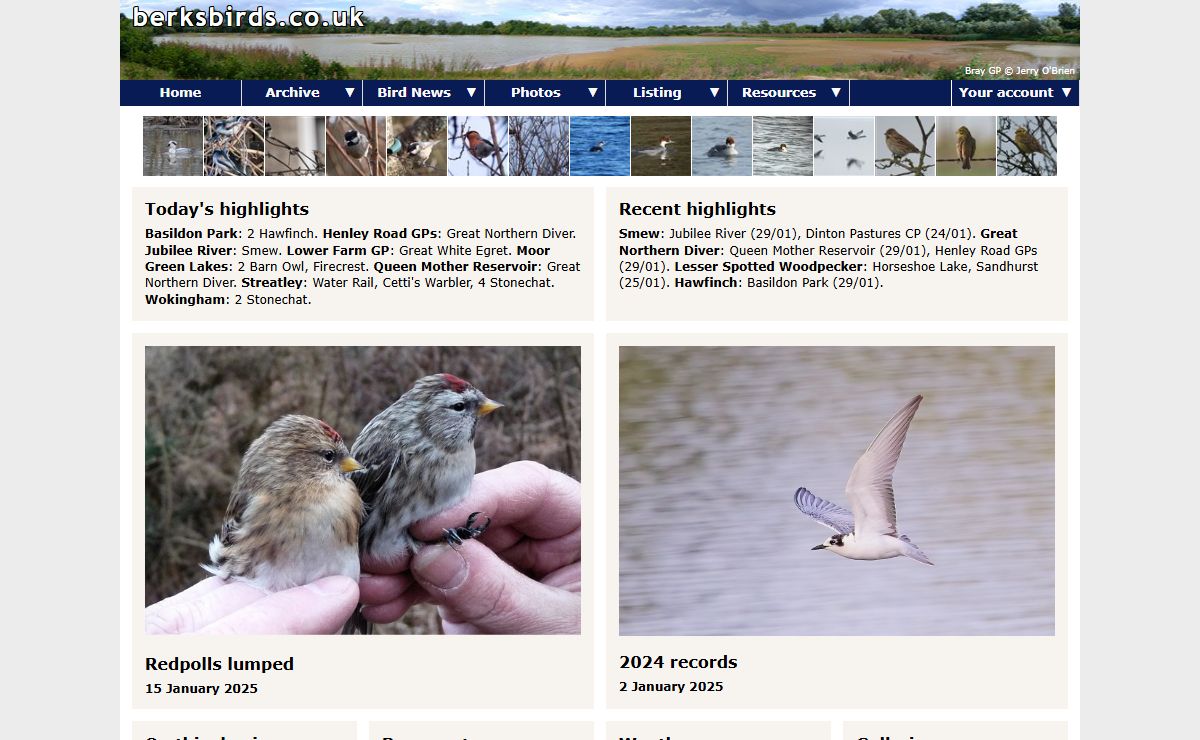 Birds and birding in Berkshire - BerksBirds