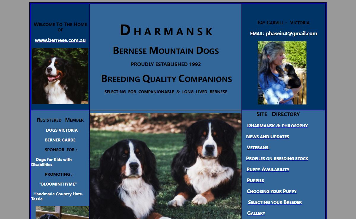 Dharmansk Bernese Mountain Dogs Index