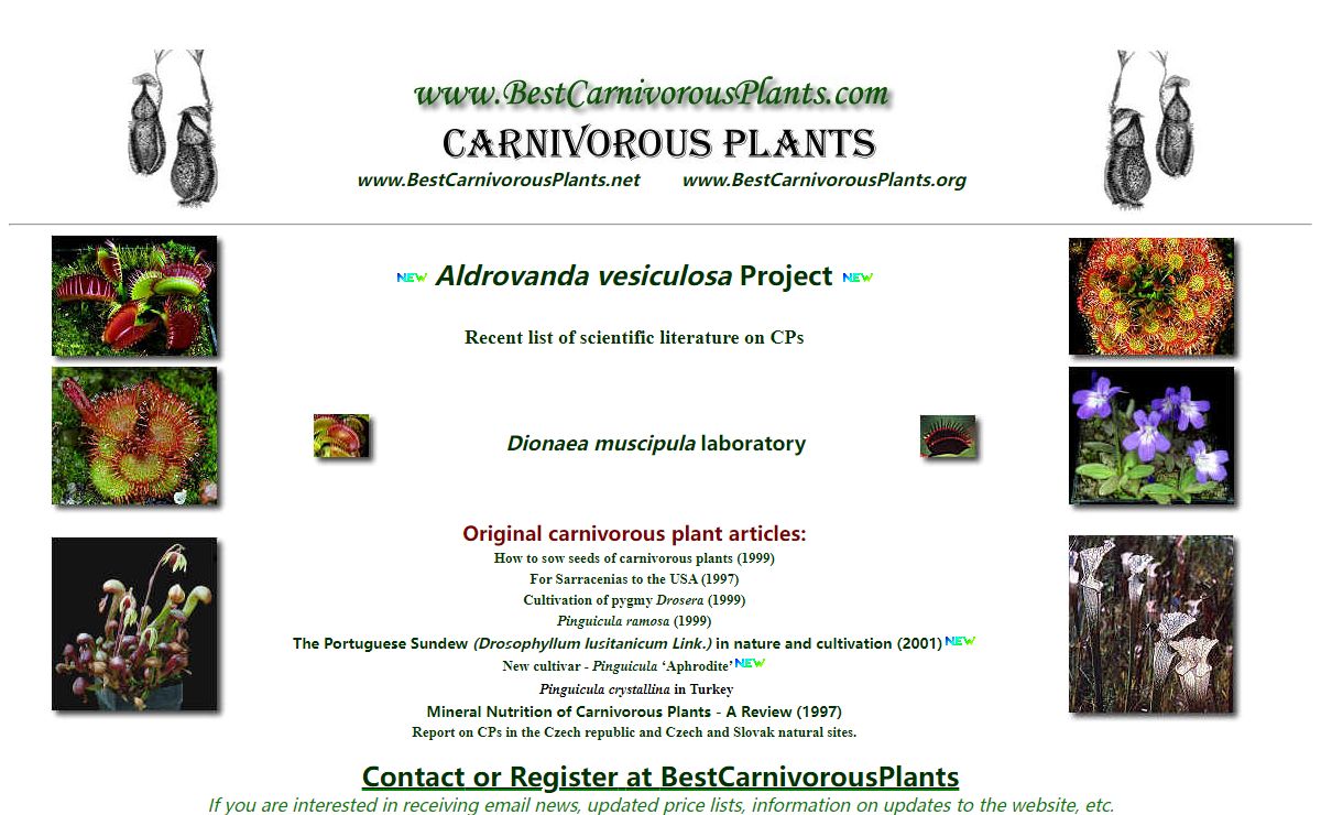 Best Carnivorous Plants