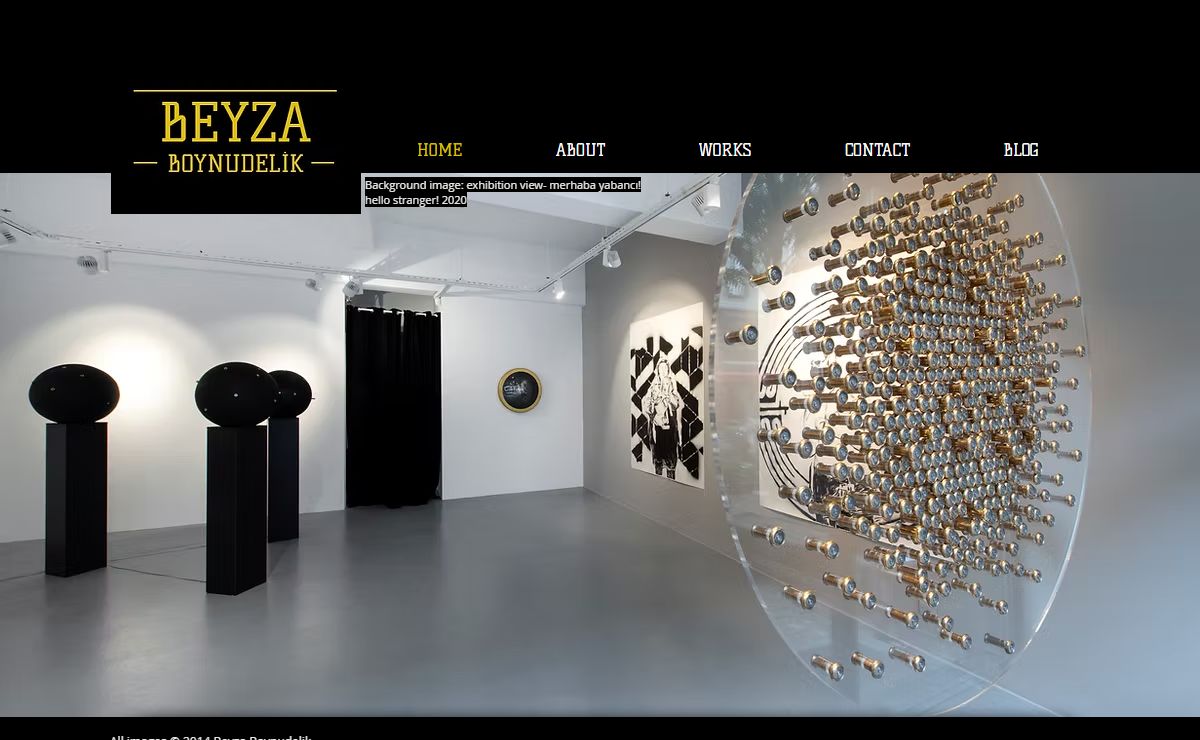 + Beyza Boynudelik | Visual Artist +