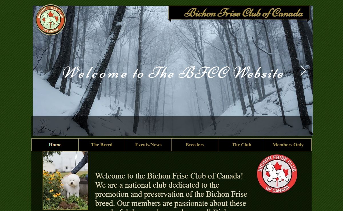 Bichon Frise Club of Canada | BFCC