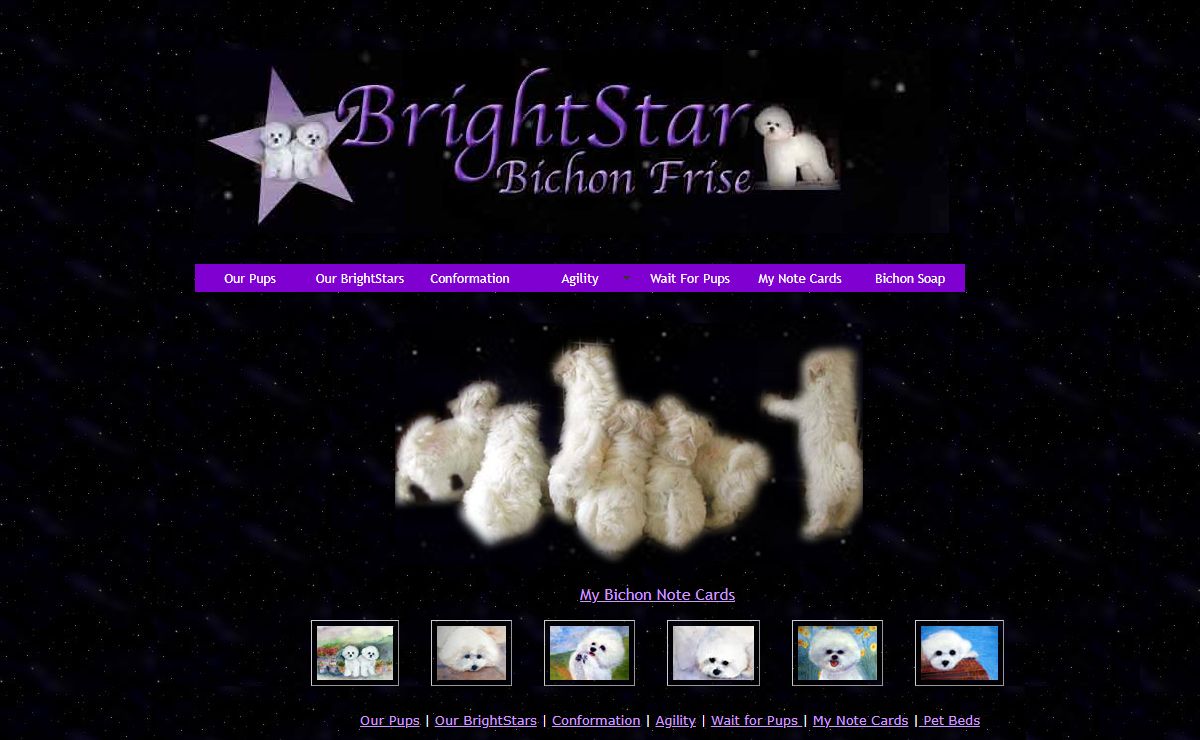 BrightStar Bichon Frise