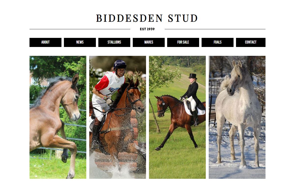 Biddesden Stud - Home