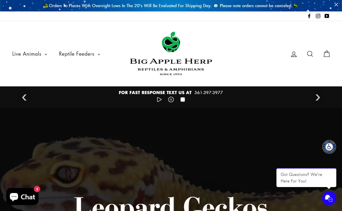 Buy Reptiles - 1000's of Reptiles For Sale – Big Apple Herp - Reptiles For Sale