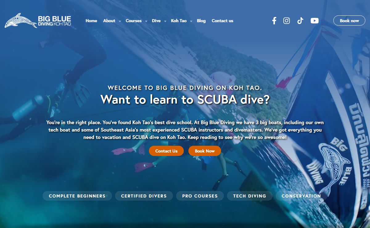 SCUBA Diving Koh Tao | Big Blue | Thailands Best Dive School